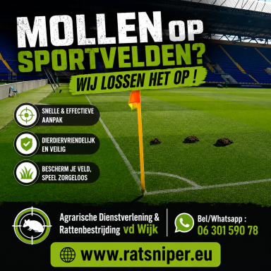 Mollen op het sportveld..
